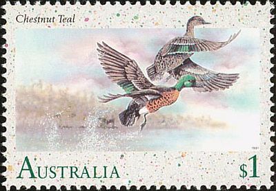 1991 г. - Птицы Австралии. 