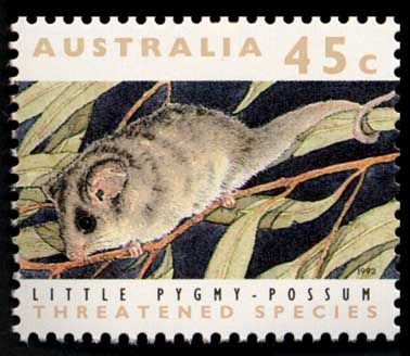 1992 г. - Редкие животные Австралии. 