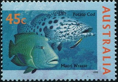 1995 г. - Фауна моря