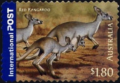 2005 г. - Австралийские животные