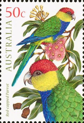 2005 г. - Австралийские попугаи