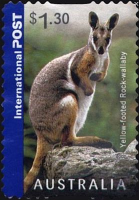 2006 г. - Австралийские животные