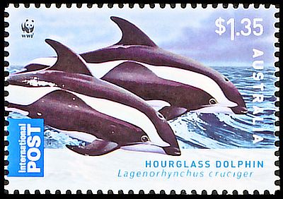 2009 г. - Дельфины