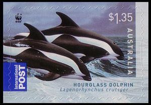 2009 г. - Дельфины