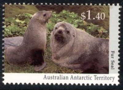 1993. - Фауна Антарктики