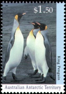 1993. - Фауна Антарктики
