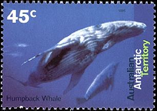 1995. - морские млекопитающие 