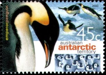 2000. - Пингвины  