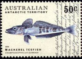 2006. -  Антарктические рыбы. 
