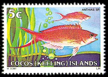 1979-1980 Рыбы