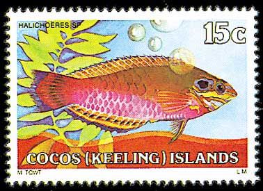 1979-1980 Fishes