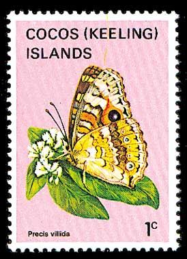 1982 - Бабочки
