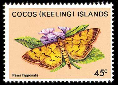 1982 - Butterflies