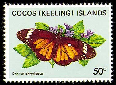1982 - Бабочки