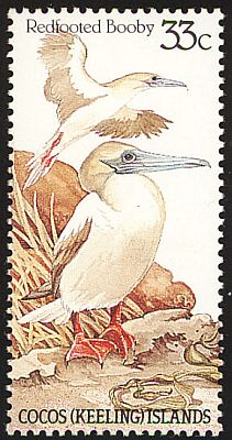 1985 - птицы