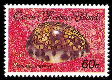 1985-86 - Моллюски