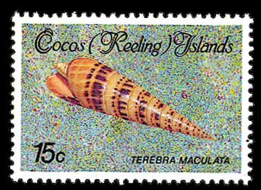 1985-86 - Mollusks