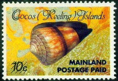 1990 - Sea Shell