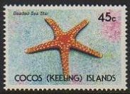 1991 - Starsfishes