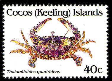 1992 - Crabs