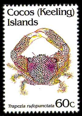 1992 - Crabs