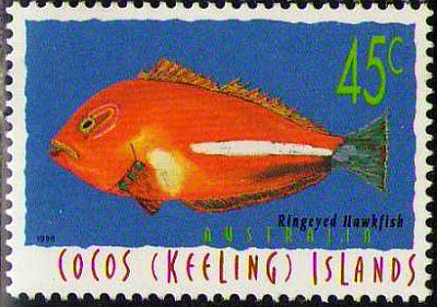 1996 - Рыбы