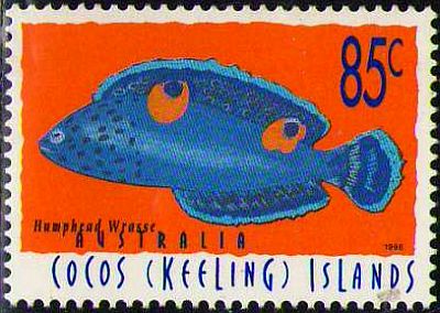 1996 - Fishes