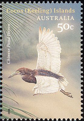 2008 - Птицы