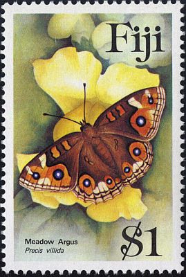 1985 г. -  Бабочки 