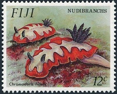 1993 г. - Голожаберные моллюски  