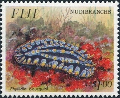 1993 г. - Голожаберные моллюски  