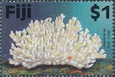 1997 г. - Кораллы 