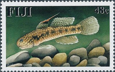 2002 г. - Рыбы   