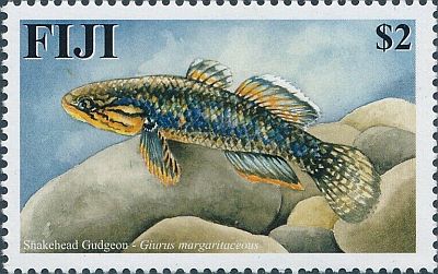 2002 г. - Рыбы   