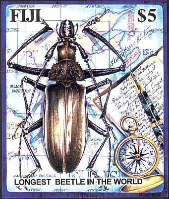 2004 г. - Величайший жук   