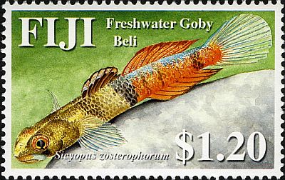 2007 г. - Рыбы  
