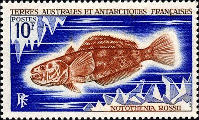 1971 г. - Рыбы  