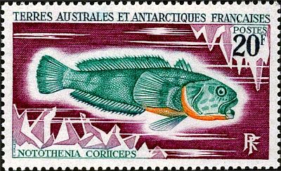 1971 г. - Рыбы  