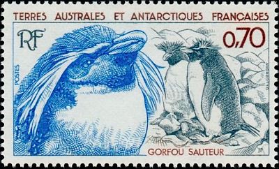 1984 г. - Антарктическая фауна