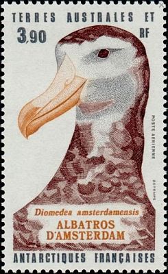 1985 г. - Антарктическая фауна