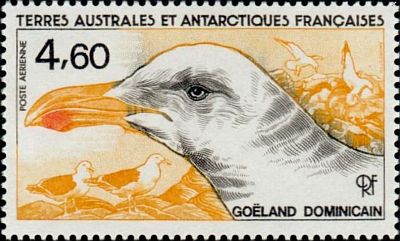 1986 г. - Антарктическая фауна