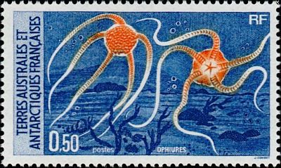 1987 г. - Антарктическая фауна