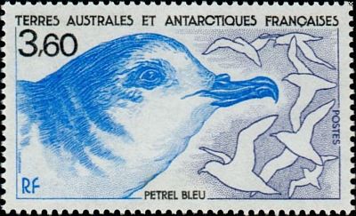 1989 г. - Антарктическая фауна