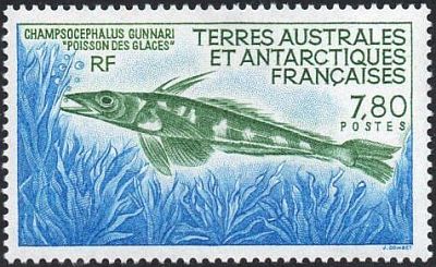 1991 г. - Фауна Антарктики