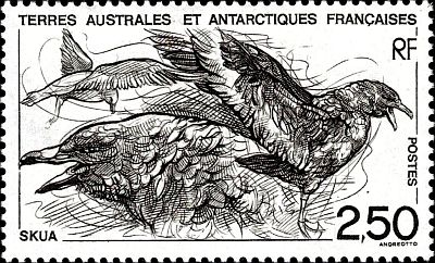 1993 г. - Фауна Антарктики 