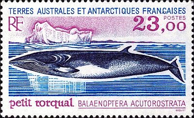 1995 г. - Фауна Антарктики 