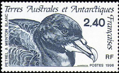 1996 г. - Фауна Антарктики 