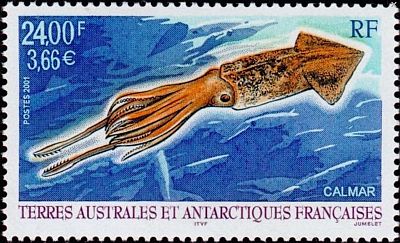 2001 г. - Фауна Антарктики 