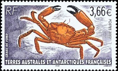 2002 г. - Фауна Антарктики 