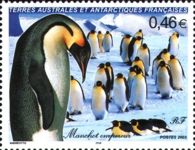 2003 г. - Фауна Антарктики 